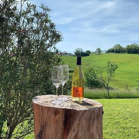 Maison De Vacances Pres De Marciac Troncens Εξωτερικό φωτογραφία